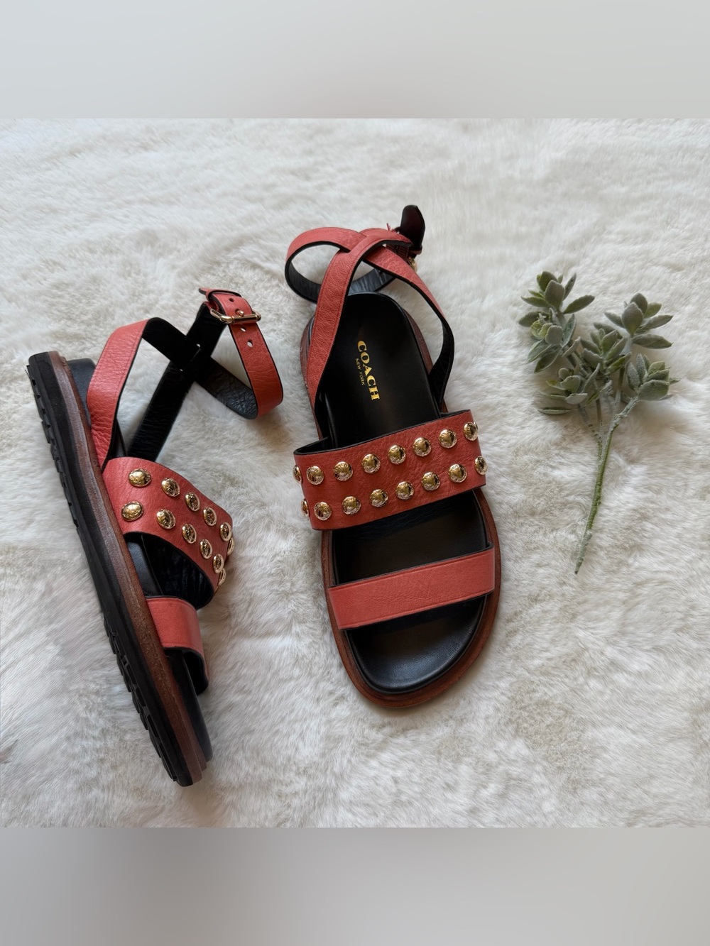 Coach | NWOT - Dannie Leather Studded Sandal - Size 6 - Orange